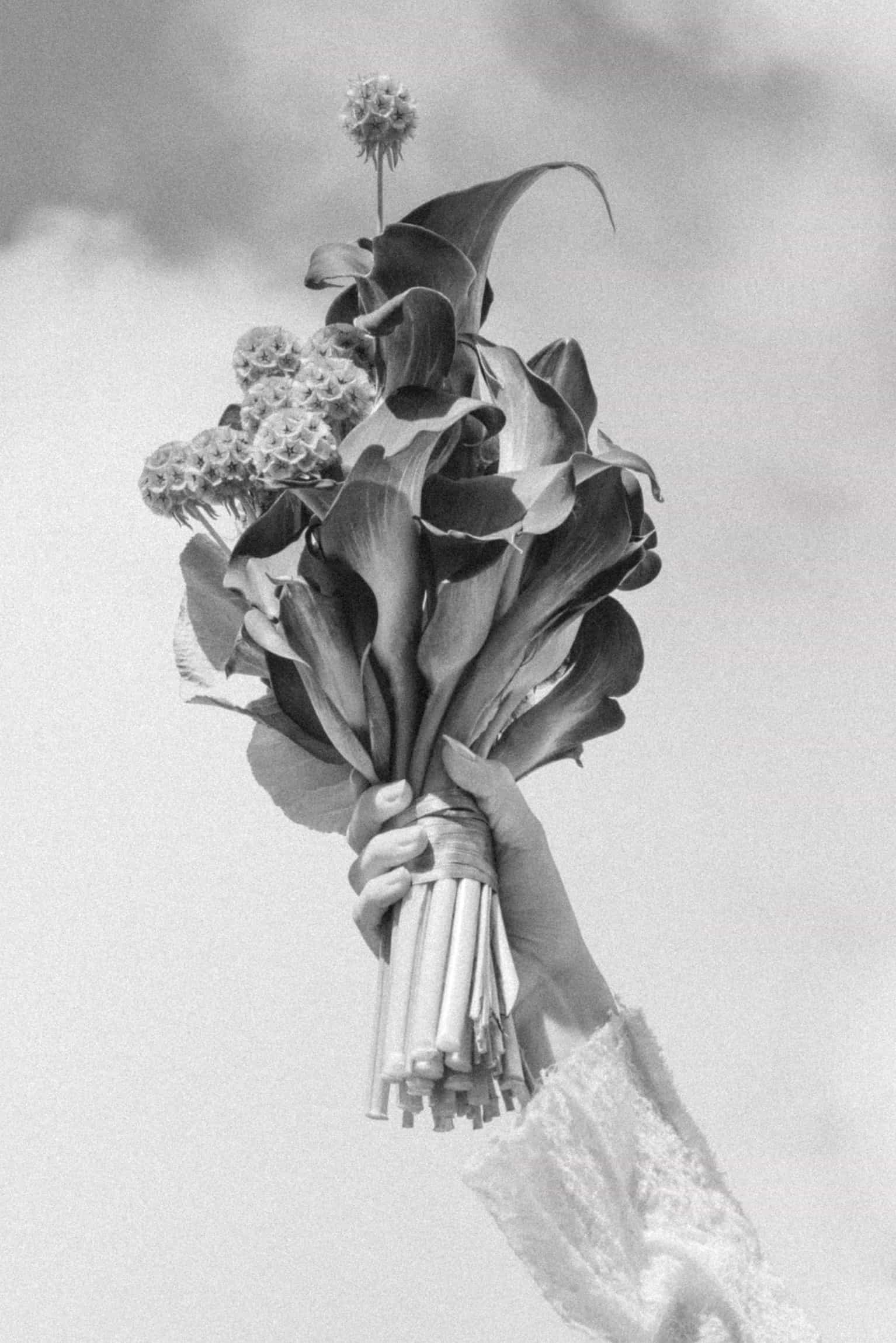 Close-up black-and-white of hands holding a bridal bouquet of tulips against white lace dress fabric